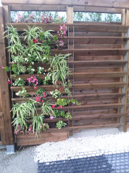 mur végétalie avec des plantes vivaces dans le var