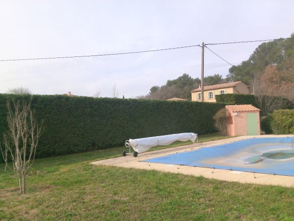 Taille de haie de cypres dans le Var