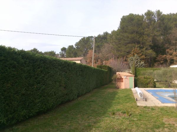 Taille de haie de cyprès à Saint Maximin