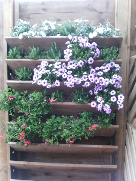 mur végétalisé à Saint Maximin dans le var