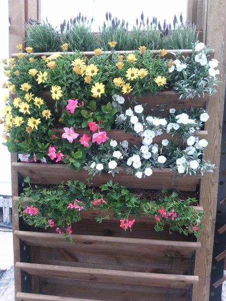 mur végétalisé dans le var