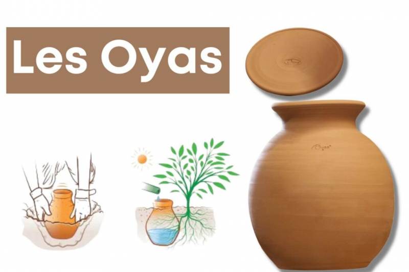 Les Oyas en terre cuite irrigation sans plastique