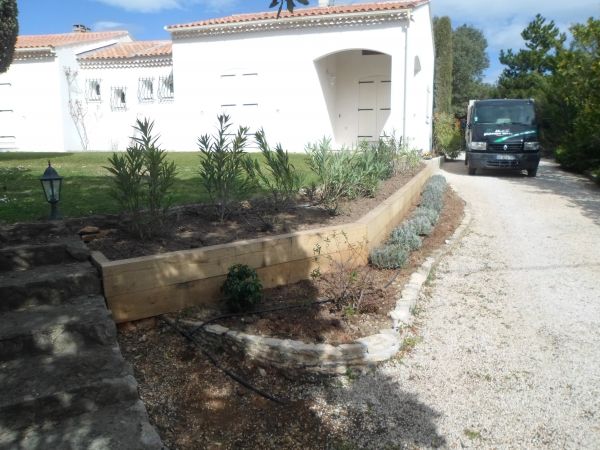 Plantation d'une haie de laurier rose a saint maimin dans le var