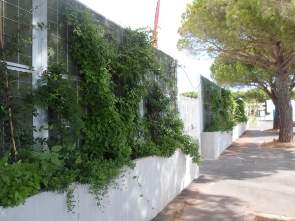 Vegataux adaptés en jardinières dans la var Jade Espaces Verts