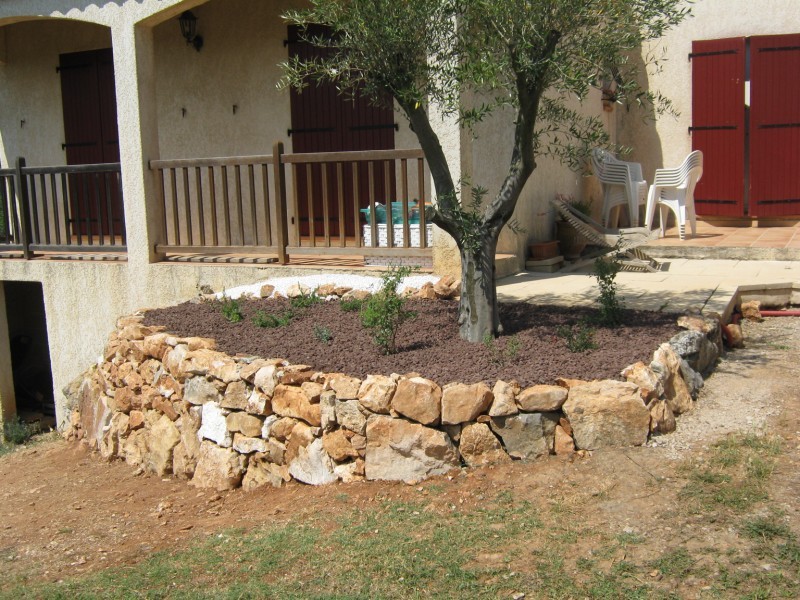 Plantation d'un olivier avec une restanque