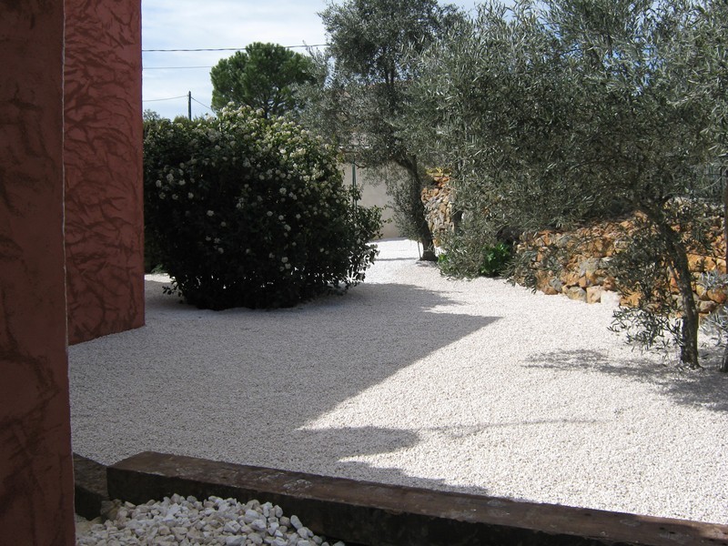 Des oliviers et une restanque dans le var