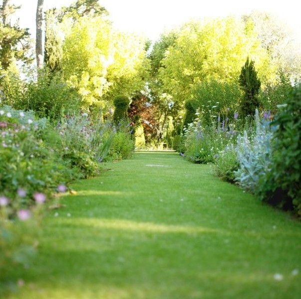 Entretien de jardin autour de Saint maximin