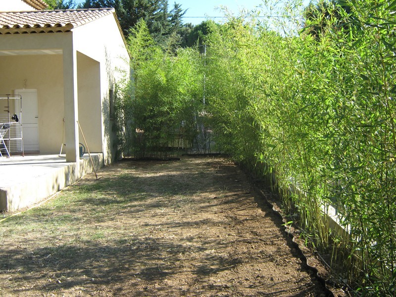 Haie de balbou avec barrière anti rhizone