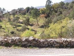 Broussaillage obligatoire a saint maximin