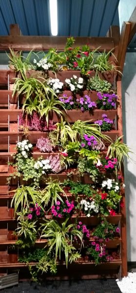 Joli mur végétalisé dans le var