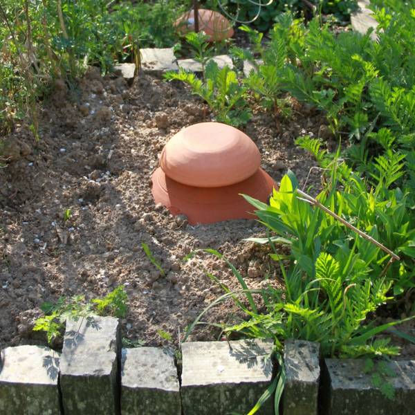 Manque le paillage sur le Oyas ou Ollas.