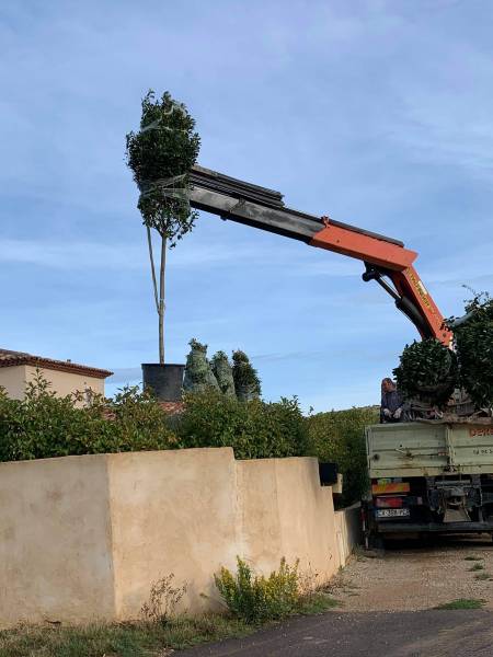 Livraison camion grue pour des gros végétaux dans le var