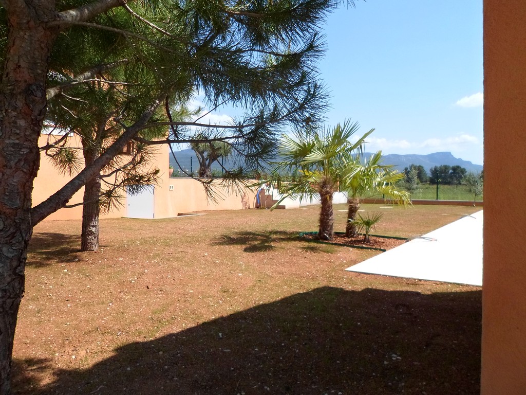 Jardin avec pins et palmiers