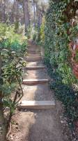 Escalier pour acceder à la partie haute du terrain à Bouc Bel Air à côté d'Ais en Provence