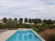 Jardinier Paysagiste près de Trets 13530