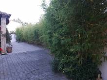 Jade Espaces Verts Prix pour réaliser un jardin avec arbres fruitiers