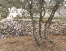 Jardinier Paysagiste à proximité d'Aix-en-Provence