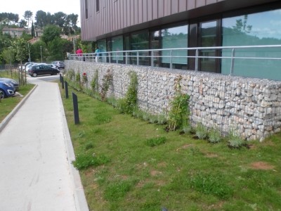 Jade Espaces Verts Paysagiste pour la création d'un jardin avec massifs fleuris près du Luc 83340